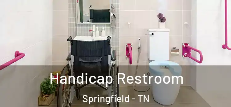  Handicap Restroom Springfield - TN