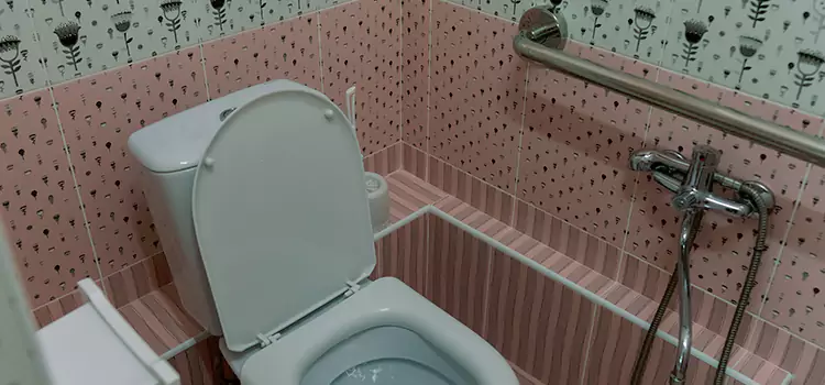 Meeting Diverse Needs With Accessible Restroom Solutions in Springfield, TN