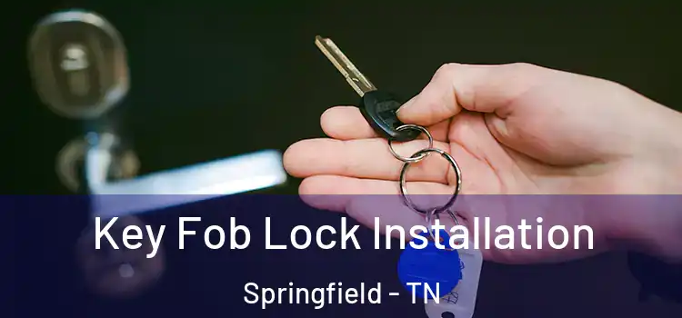  Key Fob Lock Installation Springfield - TN