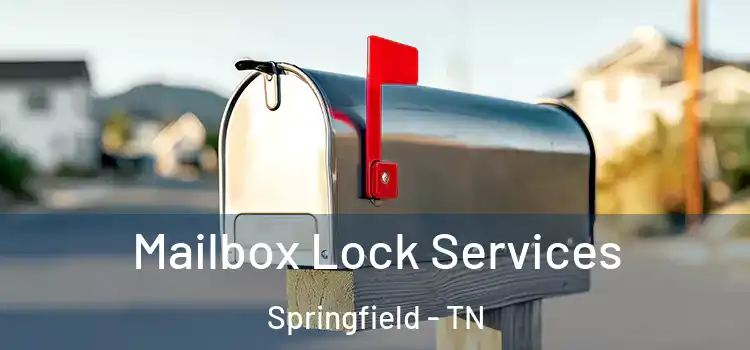 Mailbox Lock Services Springfield - TN